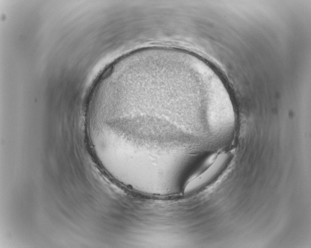 X0000088181506200706051128