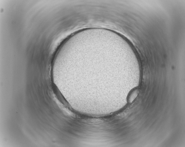 X0000088181507200706051128