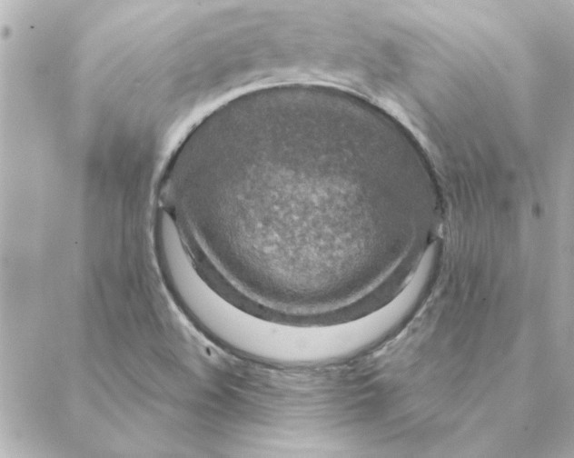 X0000088181508200706051128