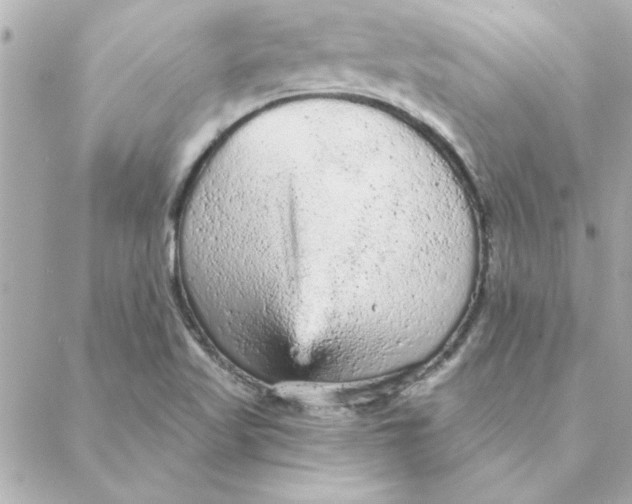 X0000088181509200706051128