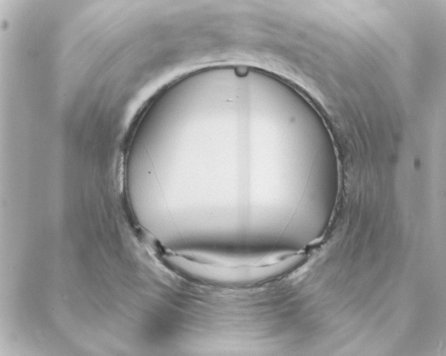 X0000088181510200706051128