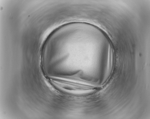 X0000088181511200706051128