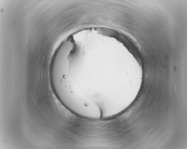 X0000088181514200706051129