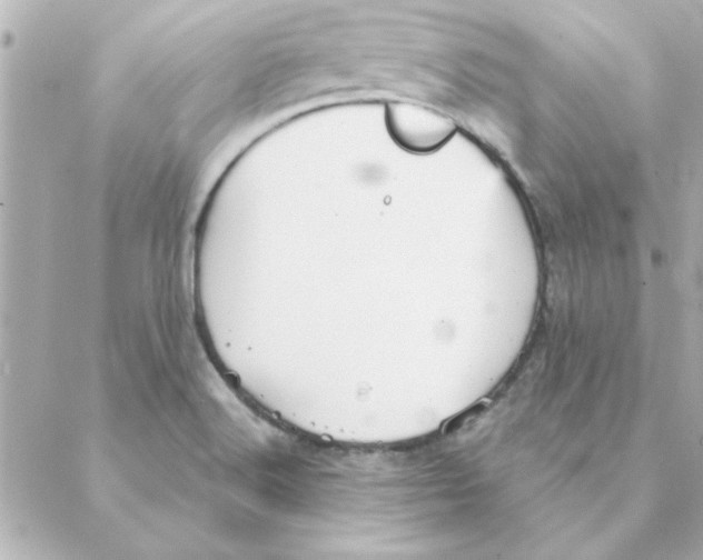 X0000088181516200706051129