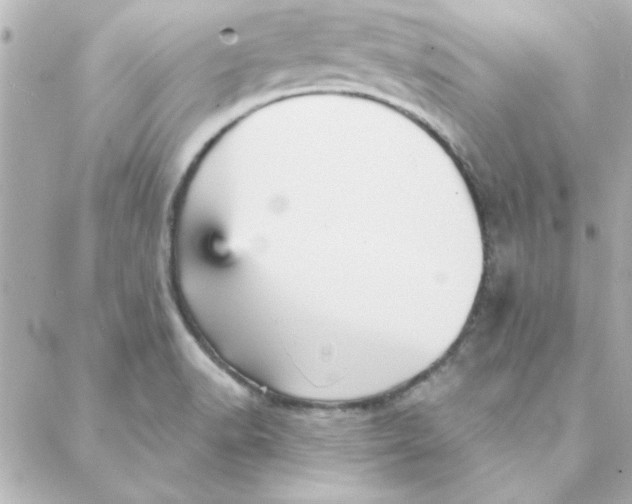 X0000088181518200706051129