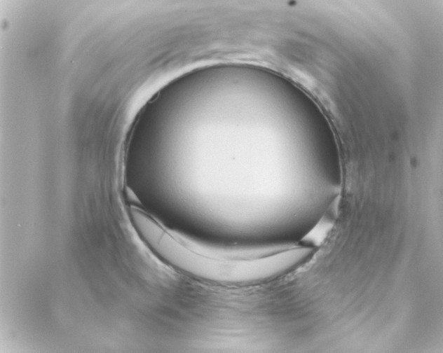 X0000088181520200706051129