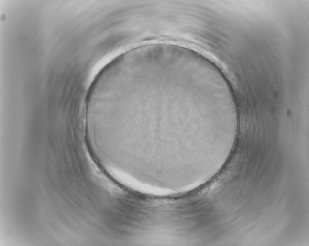 X0000088181522200706051129