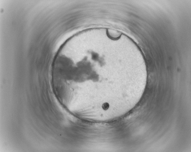 X0000088181523200706051129