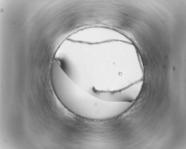 X0000088181524200706051129