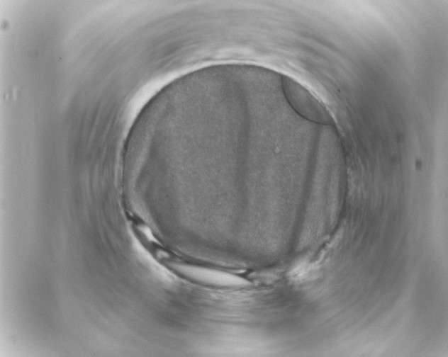 X0000088181527200706051129