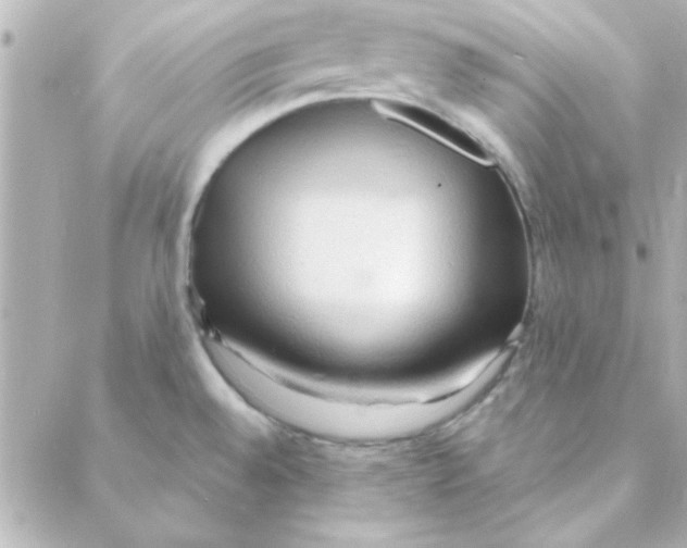 X0000088181528200706051129