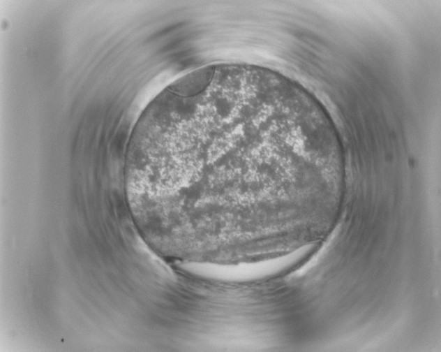 X0000088181529200706051129