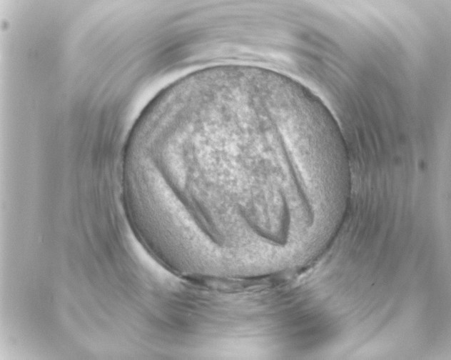 X0000088181531200706051129