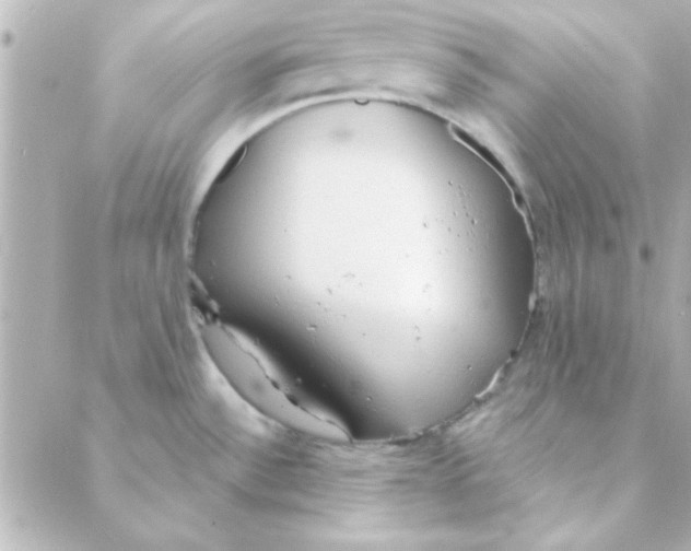 X0000088181532200706051129