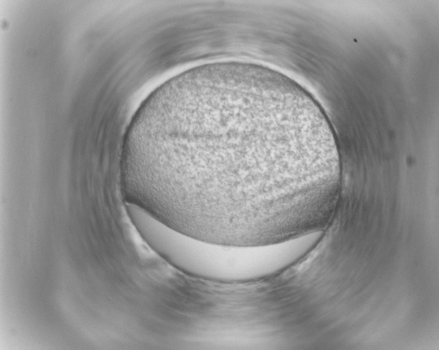 X0000088181534200706051129