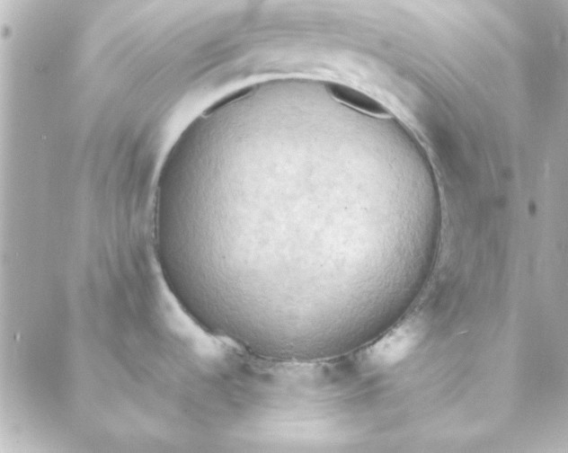 X0000088181536200706051129