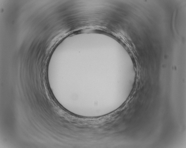 X0000088180001200706121702