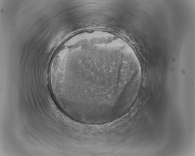 X0000088180002200706121702