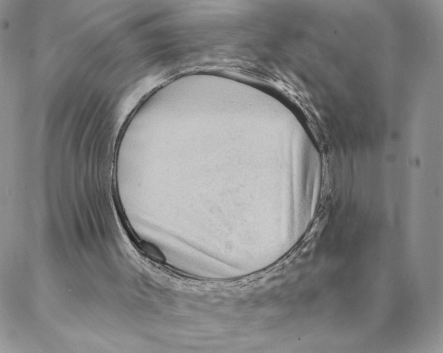 X0000088180003200706121702