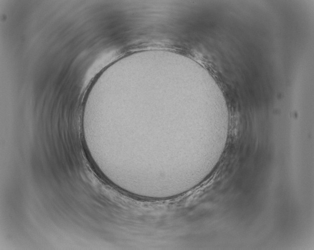 X0000088180004200706121702