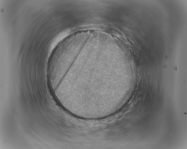 X0000088180006200706121702