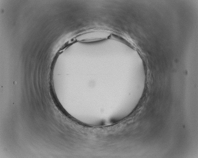 X0000088180007200706121702