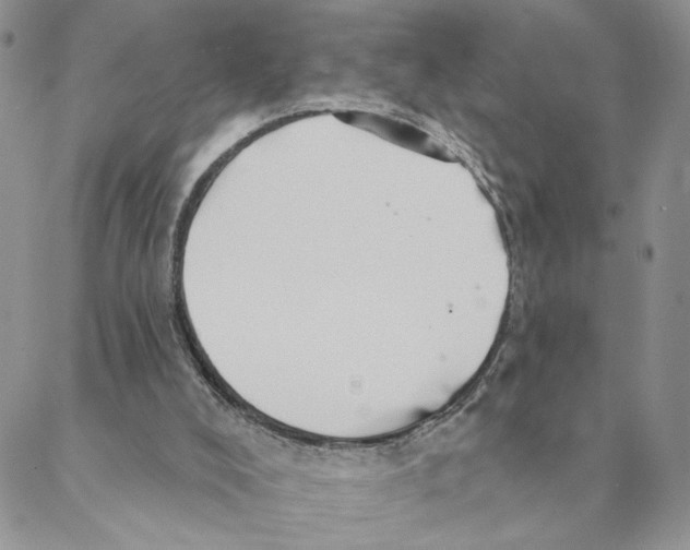 X0000088180008200706121702