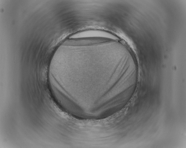 X0000088180009200706121702