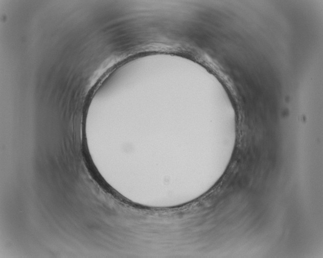 X0000088180011200706121702