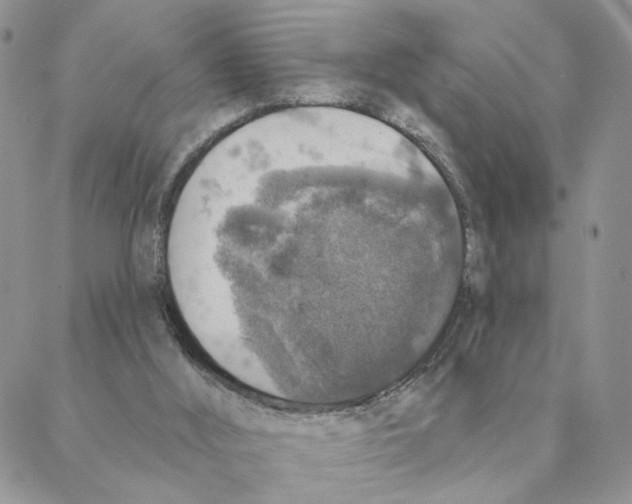 X0000088180012200706121702