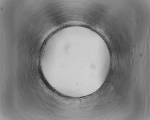 X0000088180015200706121702