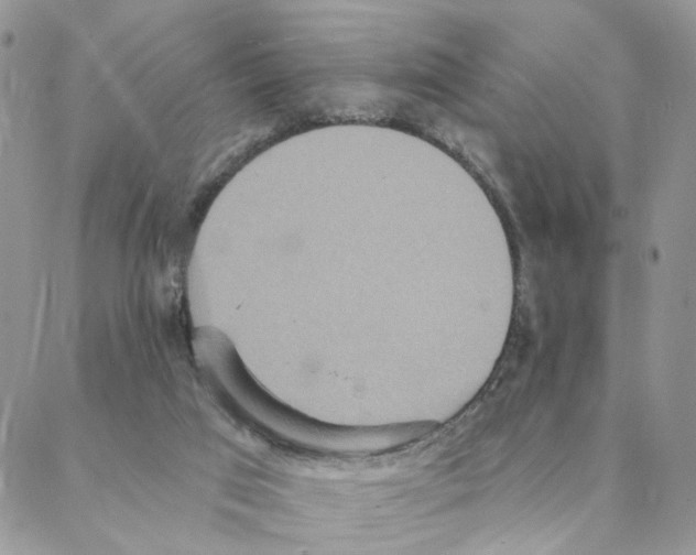 X0000088180017200706121702