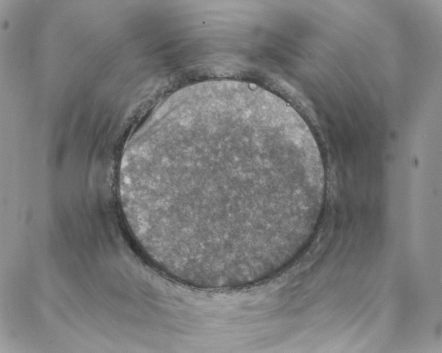 X0000088180018200706121702