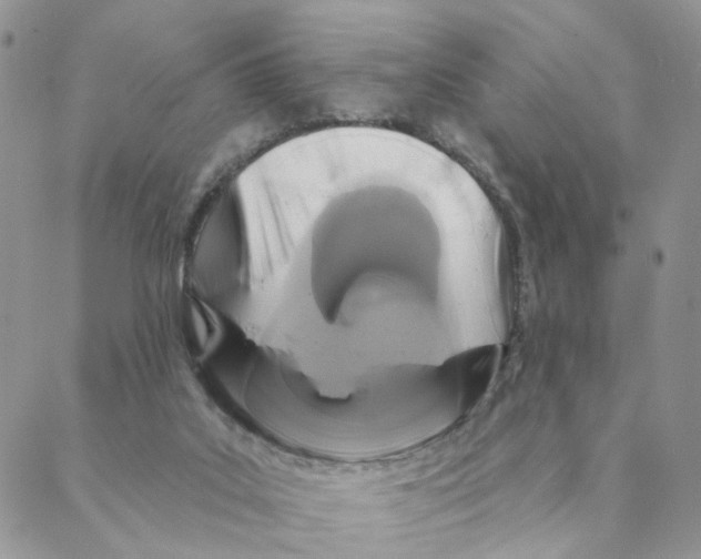 X0000088180019200706121702