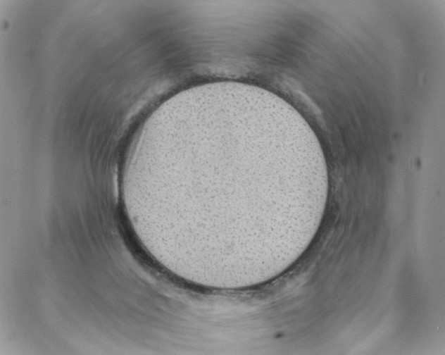 X0000088180020200706121702