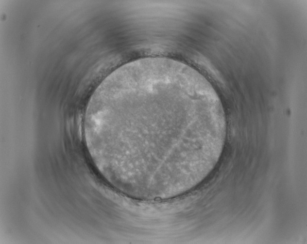 X0000088180022200706121702