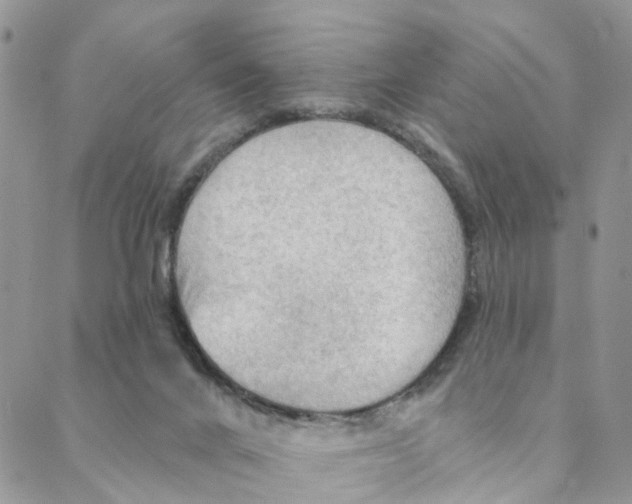 X0000088180024200706121702