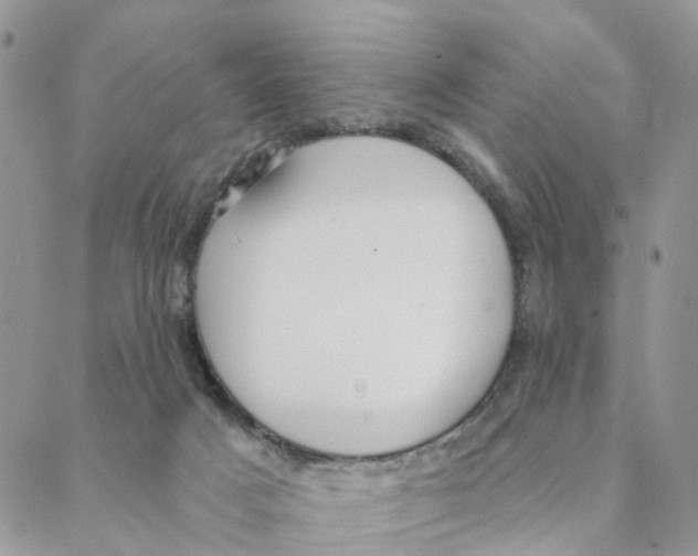 X0000088180025200706121702