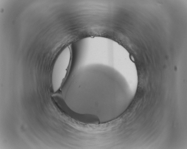 X0000088180027200706121702