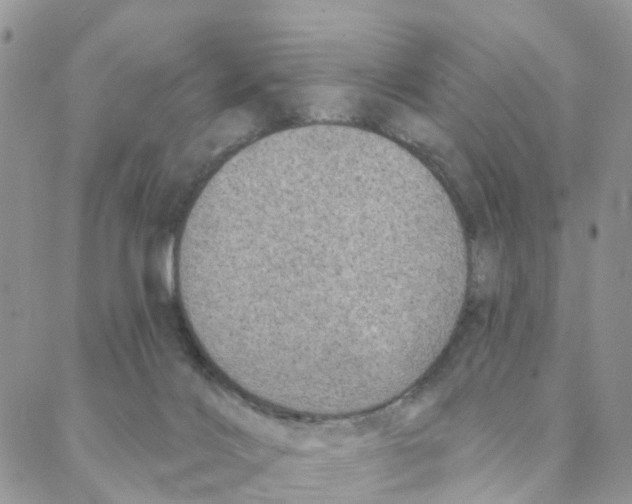 X0000088180028200706121702