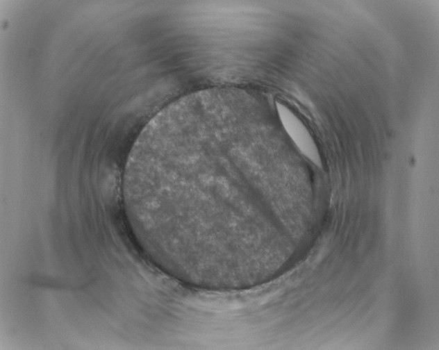 X0000088180029200706121702