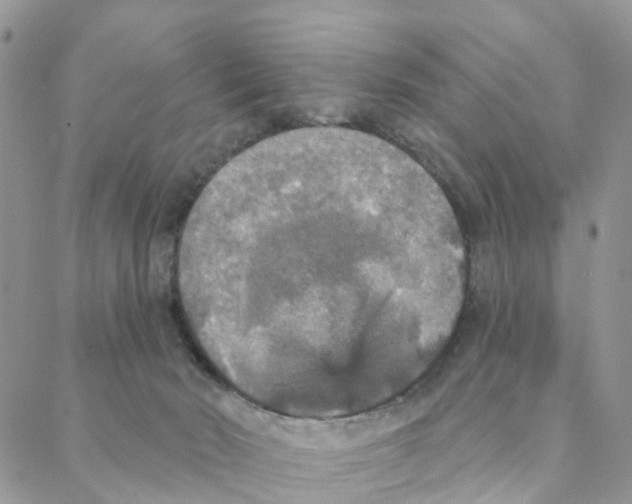 X0000088180030200706121702