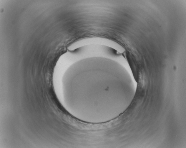 X0000088180031200706121702