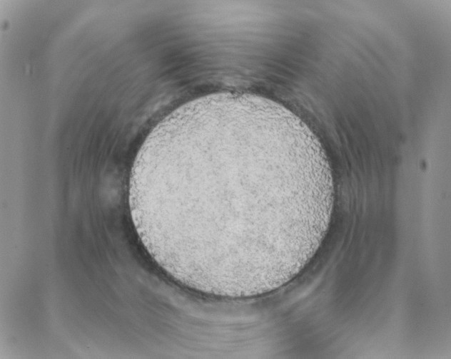 X0000088180032200706121702