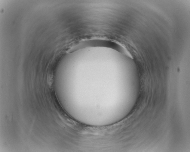 X0000088180033200706121702