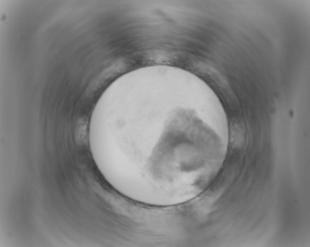 X0000088180036200706121702