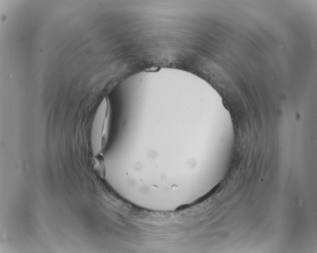 X0000088180037200706121702