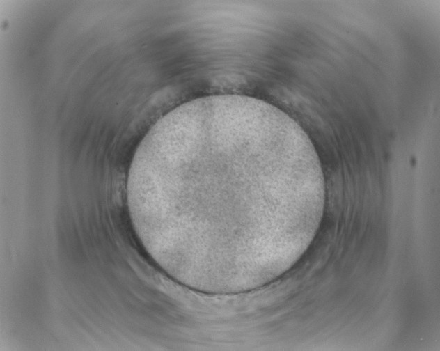 X0000088180038200706121702