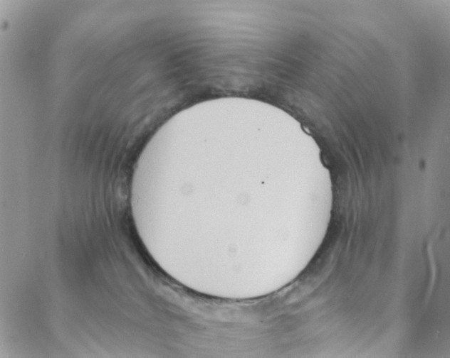 X0000088180040200706121702