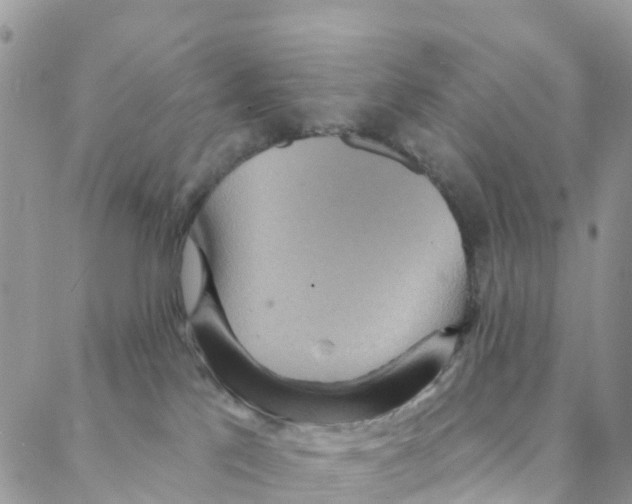 X0000088180041200706121702